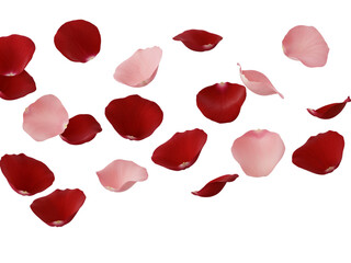 Fototapeta premium Scattered red and pink rose petals floating in air isolated on transparent background
