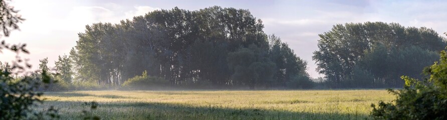 morning panorama of a field with sun rays and cool fog
