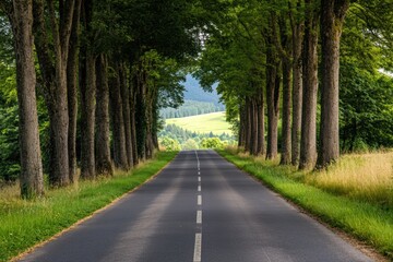 Fototapeta premium Scenic highway through forest with long shadows
