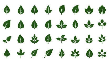 Green plant leaves vector illustration set with floral spring eco design