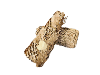 Pair of eco honeycomb wraps with decorative heart stacked in cross form, perfect for brand presentations on sustainability and creative packaging. Isolated on white background, transparent PNG