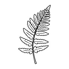 Fototapeta premium Outline illustration of fern leaf with detailed silhouette. Vector hand-drawn doodle illustration