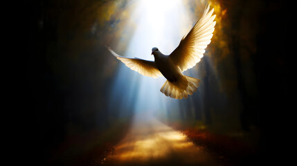 A dove with outstretched wings flies in the dark illuminated by soft light

