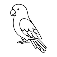 Fototapeta premium Black and white line drawing of a parrot. Vector hand-drawn doodle illustration