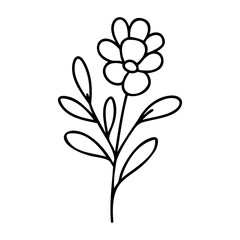 Simple line art of a blossom on stem with leaves. Vector hand-drawn doodle illustration