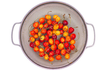 Red berries in basket 