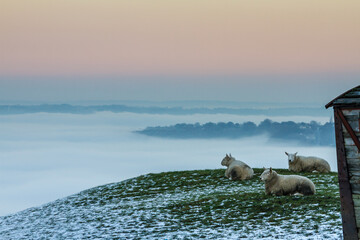 Cloud inversion and sunset over Halifax and Elland, Yorkshire