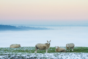 Cloud inversion and sunset over Halifax and Elland, Yorkshire