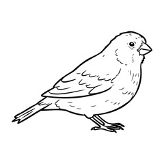 Detailed line art of a small bird in profile view. Vector hand-drawn doodle illustration