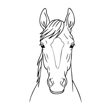 Simple line drawing of a horse's face with flowing mane. Vector hand-drawn doodle illustration