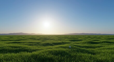 Obraz premium Expansive grassy plain under a bright sun