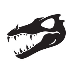 Crocodile Skull With Sharp Features