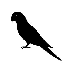 Fototapeta premium Graceful Side View Black Silhouette of a Parakeet Bird on a White Background
