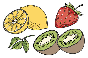 Diverse collection of hands illustrated in a vibrant high quality vector style