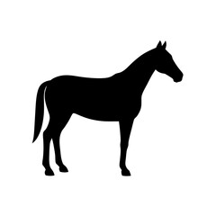 Obraz premium Graceful Horse Silhouette White Background Majestic Equestrian Vector Graphic
