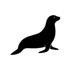 Marine Black Silhouette of a Harbor Seal Side View Isolated on a Cold White Rock