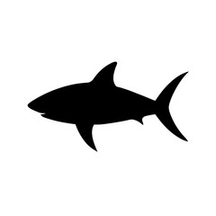 Fototapeta premium Predatory Black Silhouette of a Great White Shark Side View Isolated on Blue White Water