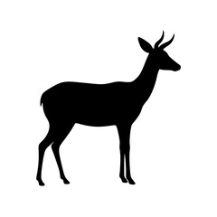 Graceful Black Silhouette of a Gazelle Side View Isolated on a Pure White Background