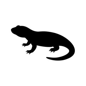 Desert Black Silhouette of a Gila Monster Side View Isolated on a Warm White Sand