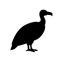 Fototapeta premium A Condor Silhouette In Profile For A Large And Scavenging Bird