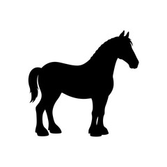 Fototapeta premium A Clydesdale Horse Silhouette In Profile For A Large And Strong