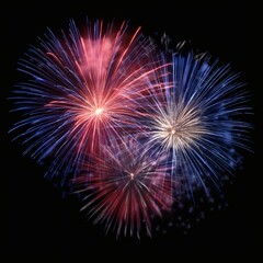 Fototapeta premium Colorful Fireworks Display in Night Sky