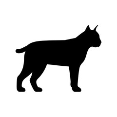 Obraz premium A Bobcat Silhouette In Side View For A Wild Cat Of North America