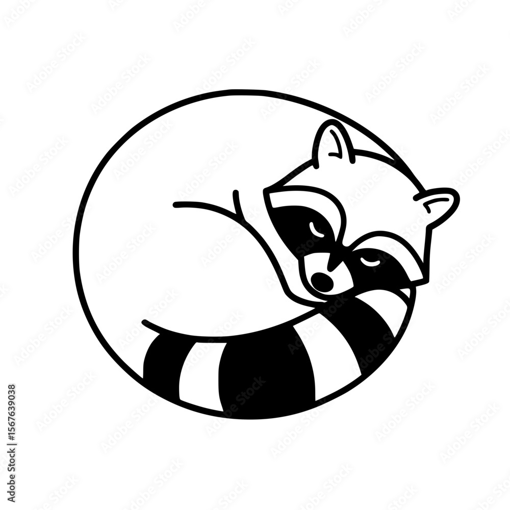 Poster raccoon curled up in a round shape illustrating simple linear vector icon