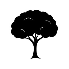 Brain Shaped Tree Canopy Silhouette For A Concept Of Knowledge And Growth