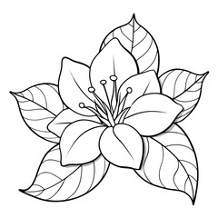 vector illustration of lotus flower