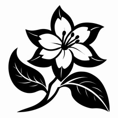 black and white flower