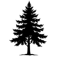 Christmas tree isolated on white