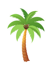 Tropical palm tree vector illustration featuring a summer beach silhouette with green leaves