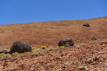 Huevos del Teide on volcanic slope