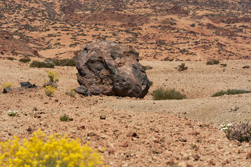 Huevos del Teide on volcanic slope
