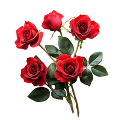 Fototapeta premium Red roses bouquet dark background romantic flowers