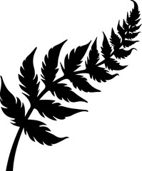 Fern Leaf Silhouette with Veins Botanical Vector Shape