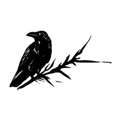 crow on a branch vector