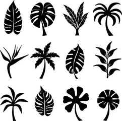 Tropical Plant Silhouettes Set 12 Exotic Botanical Vector Icons