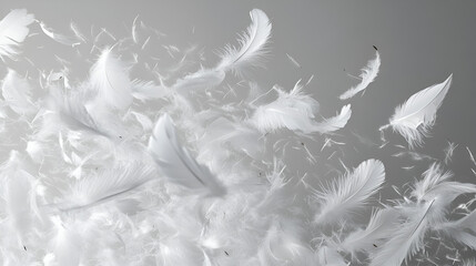 White feathers fill a light gray space scattered  ethereal