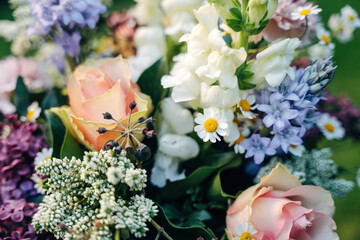 Burst of Colorful Blooms