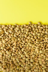 LENTEJAS (Lens Culinaris) SOBRE FONDO AMARILLO