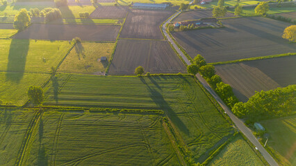 Fototapeta premium belgian landscape