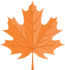 Maple leaf icon. Canadian symbol. Canada flag. Canada. Vector illustration. 