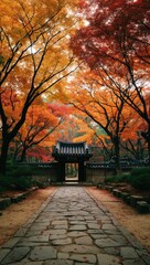 Autumnal path through a Korean garden, with vibrant fall foliage arching overhead and a traditional gate