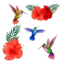 Seamless Three hummingbird birds fly in search of food between hibiscus flowers on a transparent background.ai