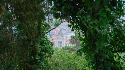 Pathway framed by dense green foliage leading to a view of rooftops and city in the distance.