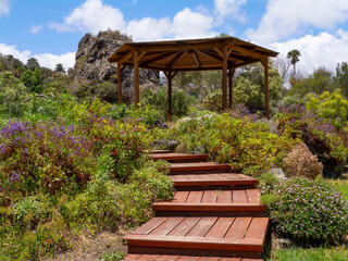 Palmenpark Jardin Botanico Canario Viera