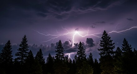 Powerful lightning storm over a dark forest