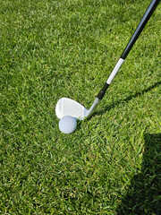 Golf club poised to strike a ball well-maintained grass during a sunny afternoon on the golf